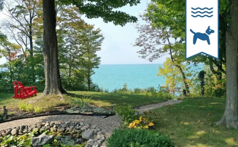 First on Elmslie Oasis 1