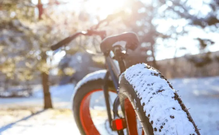 Winter fat bike 768x474
