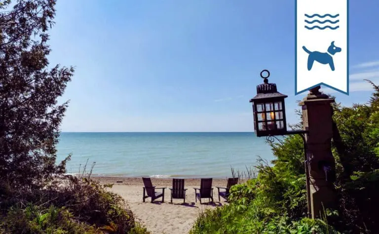 FEATURE Huron Shores vacation rental pet friendly lakefront beachfront point clark lake huron cottage rental 768x474