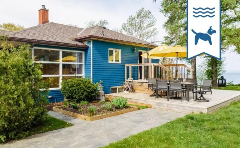 Sunset at ShadeView 2 1 768x474