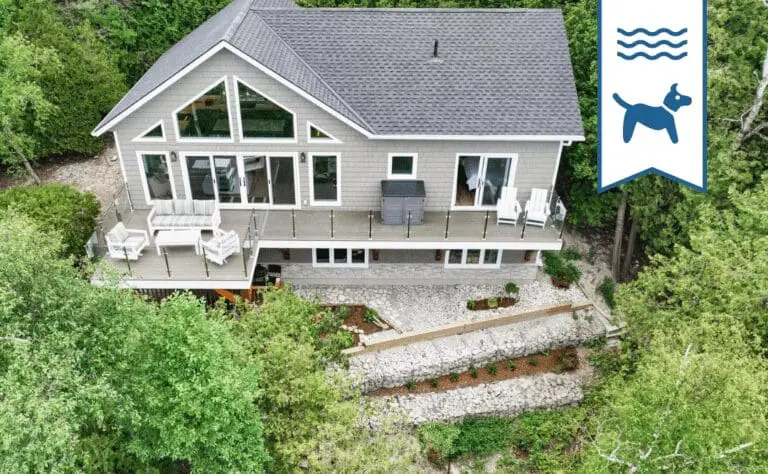 theLookout 768x474 (1)