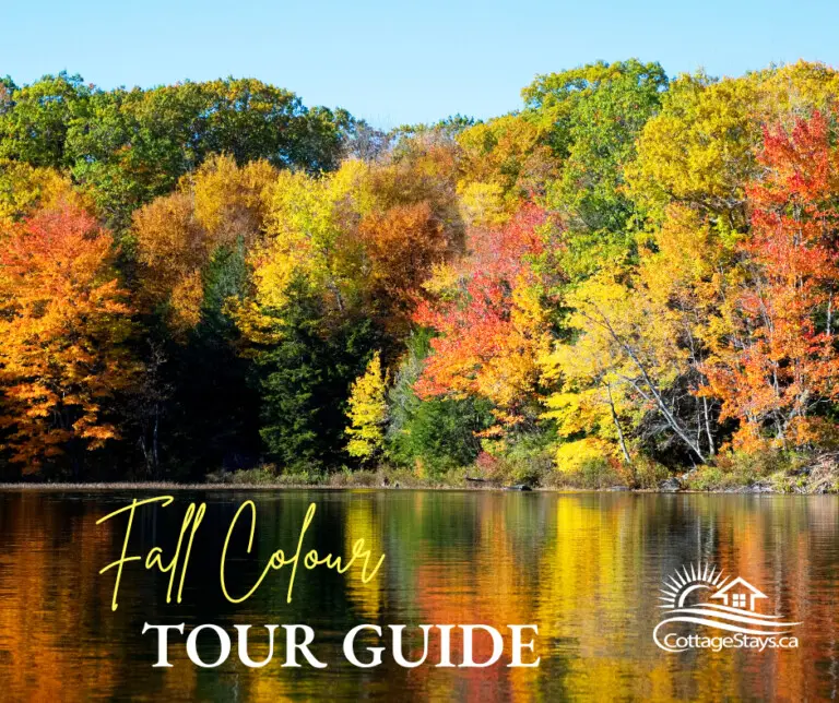 Fall Colour Tour (1)